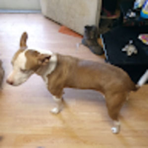 Meet your Posher, Eugenia